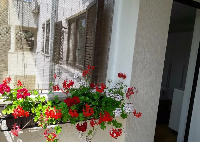 Ruzica Διαμέρισμα