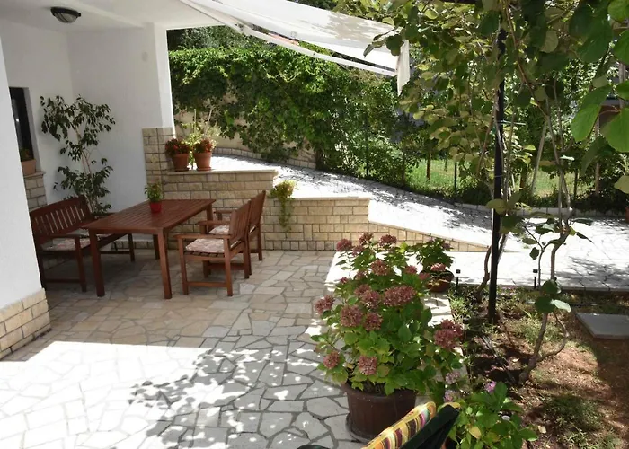 Ruzica פולה