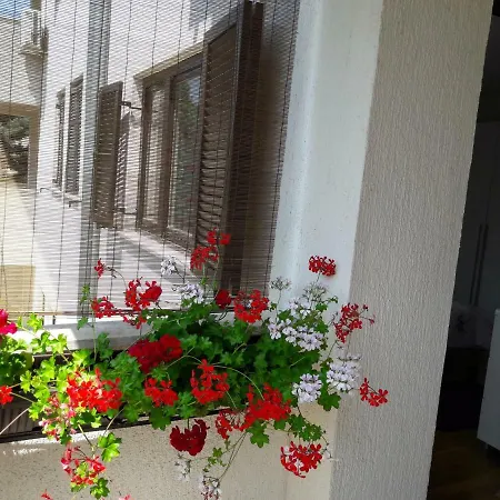 Ruzica Apartman